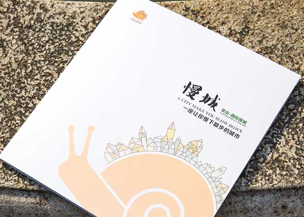 政府宣傳冊(cè)設(shè)計(jì)石特有經(jīng)驗(yàn)